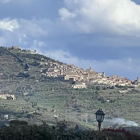 Garden Cortona